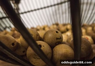体育投注赔率视角下：连号与断号现象的理性洞察与科学应对